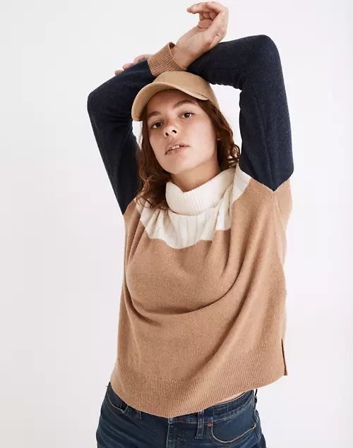 Hickory Turtleneck Sweater in Colorblock | Madewell