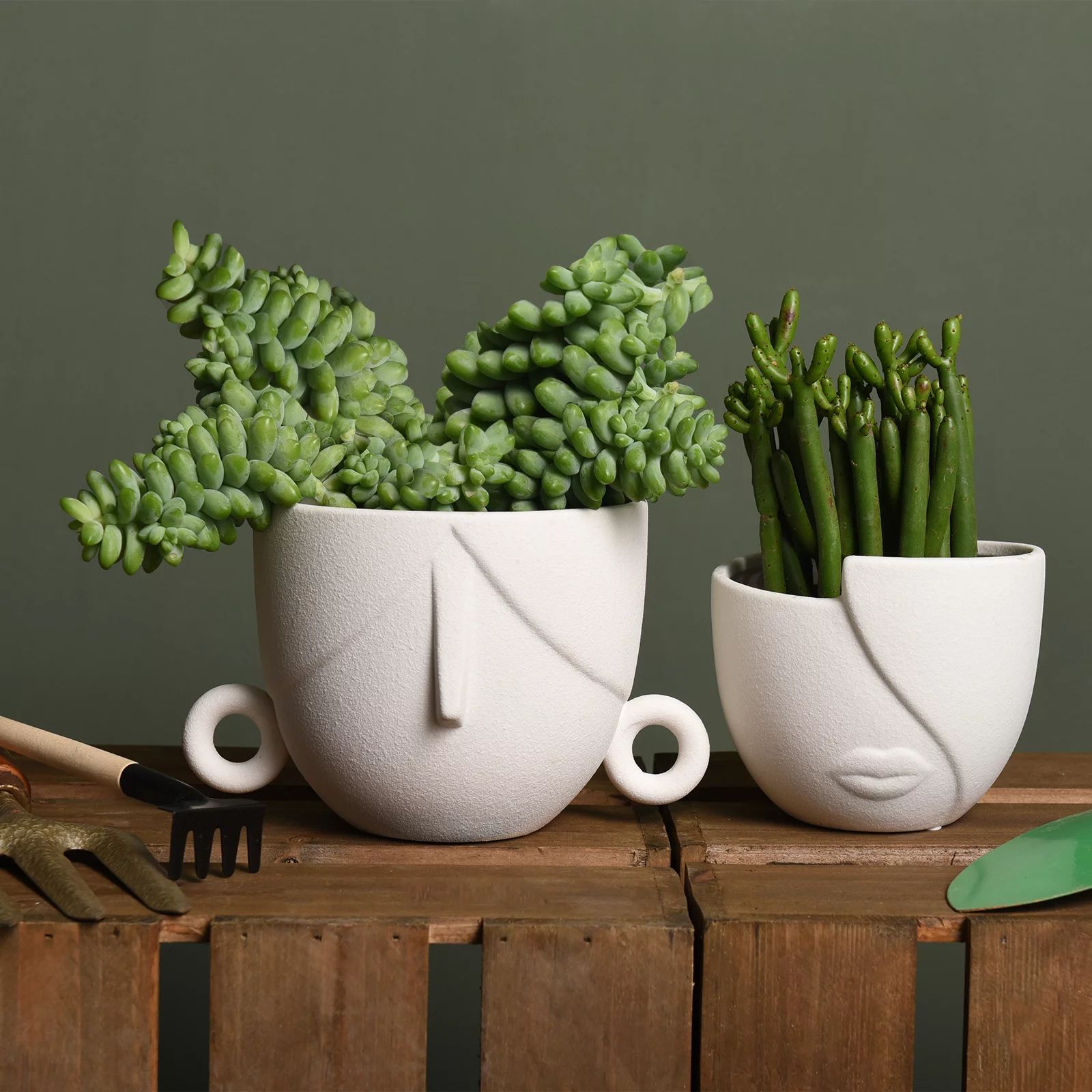 Garden Succulent Planter Flower Pots Set of 2, Indoor Planter Pots with Drainage Hole, Ceramic Wh... | Walmart (US)