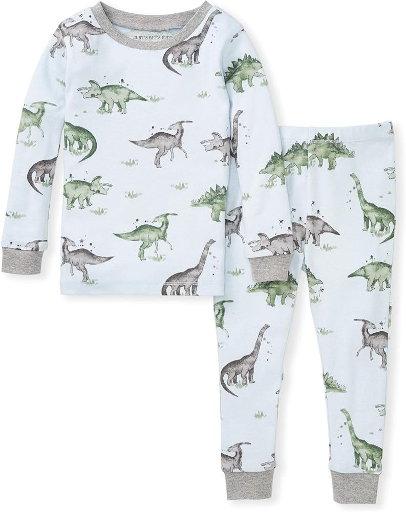 Burt's Bees Baby Baby Boys' Pajamas, Tee and Pant 2-Piece Pj Set, 100% Organic Cotton | Amazon (US)