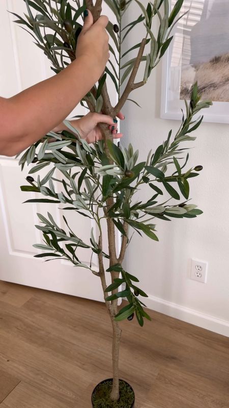 My favorite new skinny and tall faux olive tree for our home!

#LTKhome #LTKfindsunder100 #LTKGiftGuide