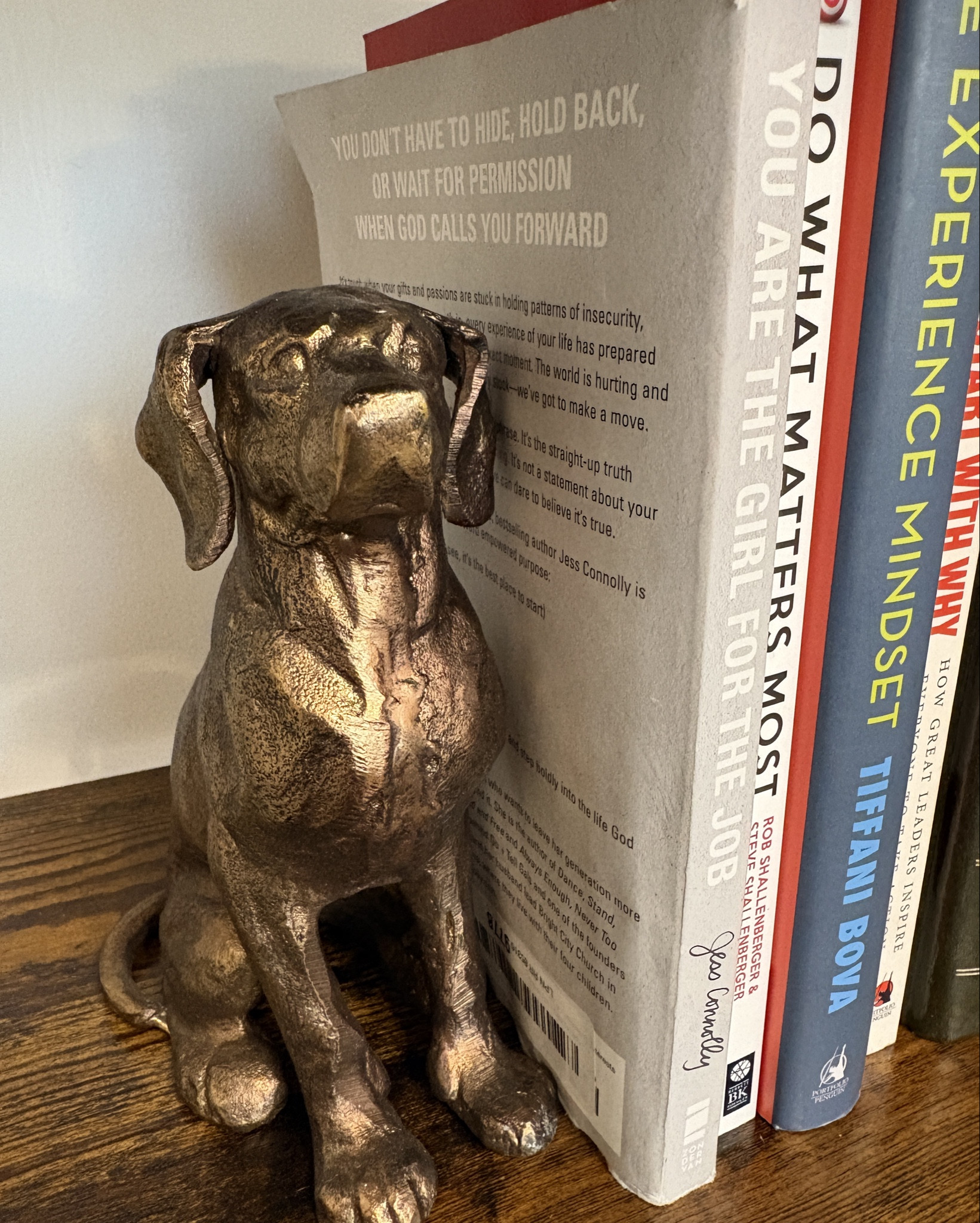 Labrador book ends are what every bookshelf needs! 😍 

#LTKHome #LTKdayinmylife #LTKSaleAlert