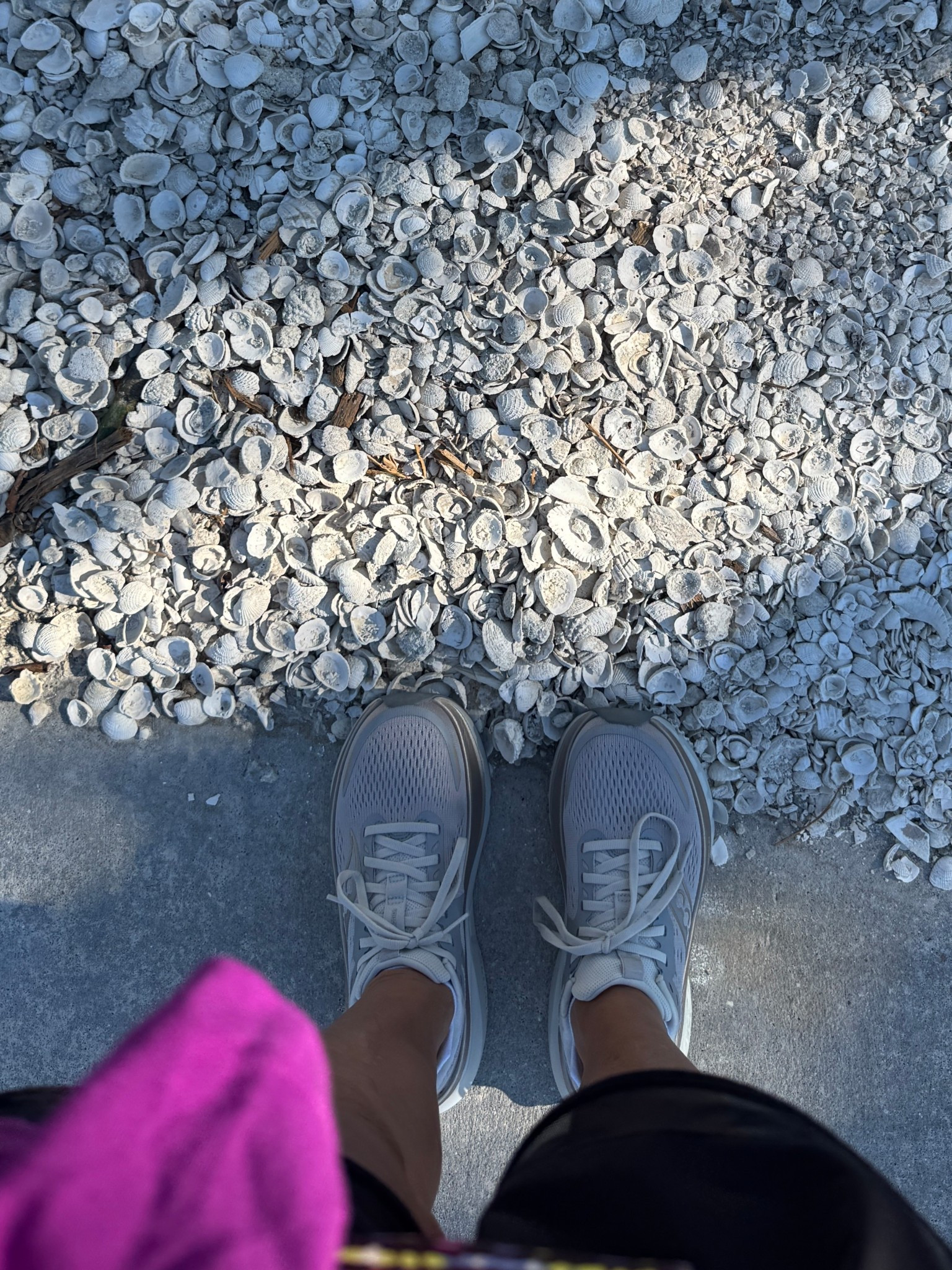 New sneakers for walks along seashells. 
kimbentley, workout outfit, sneakers,

#LTKActive #LTKTravel #LTKShoeCrush