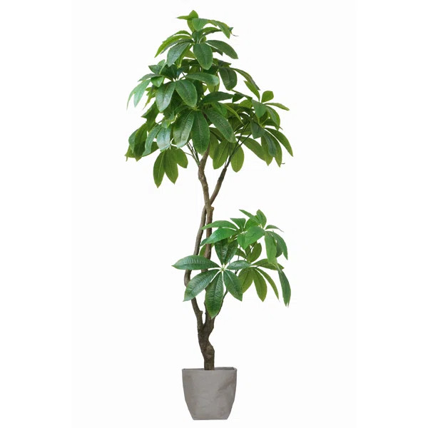 Panama 72'' Faux Pachira Aquat Tree in Pot Liner | Wayfair North America