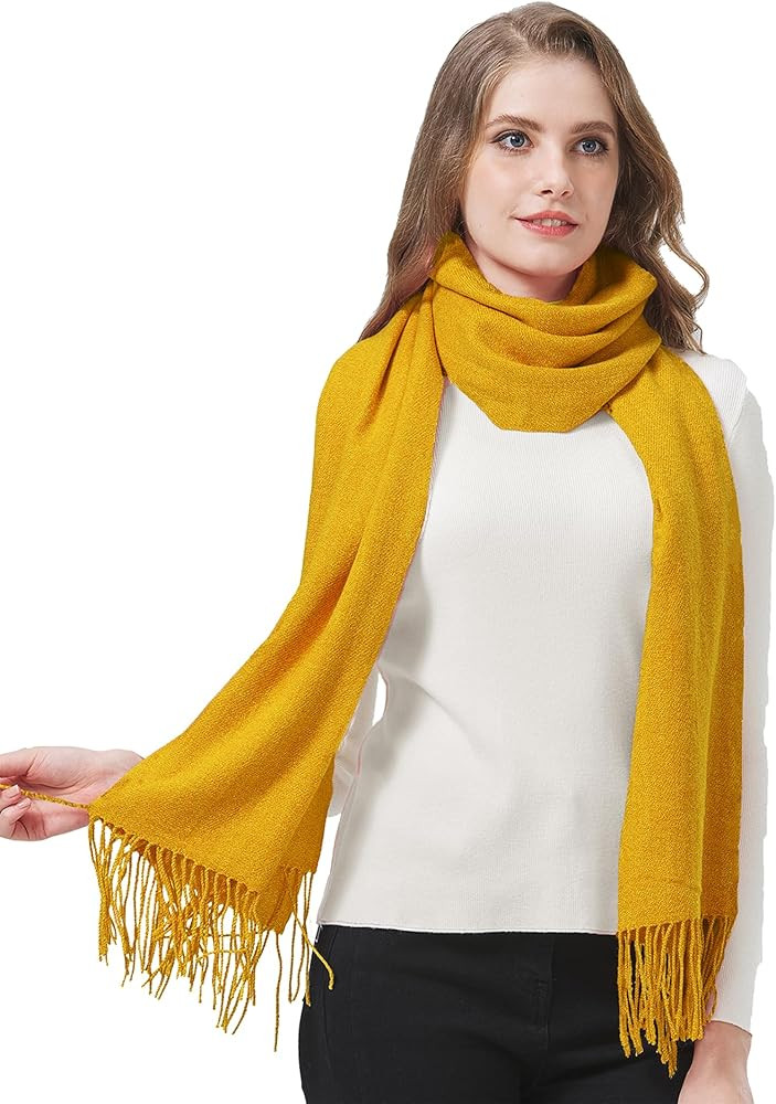 Zion Praiser Women's Winter Scarf Fashion Pashmina Shawls and Wraps Soft Warm Long Large Scarf | Amazon (US)