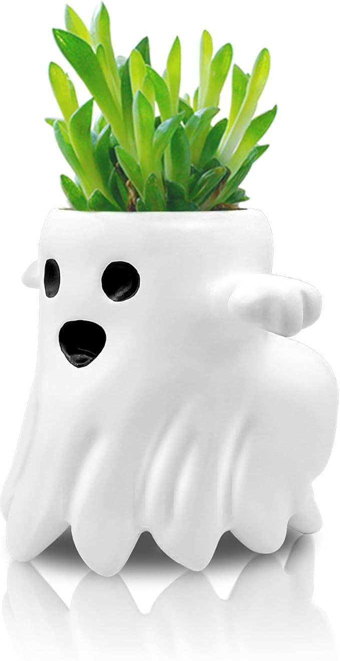 Cute Ghost Planter, Funny Big Booty Succulent Pot, Small White Quirky Decor Planter | Amazon (US)
