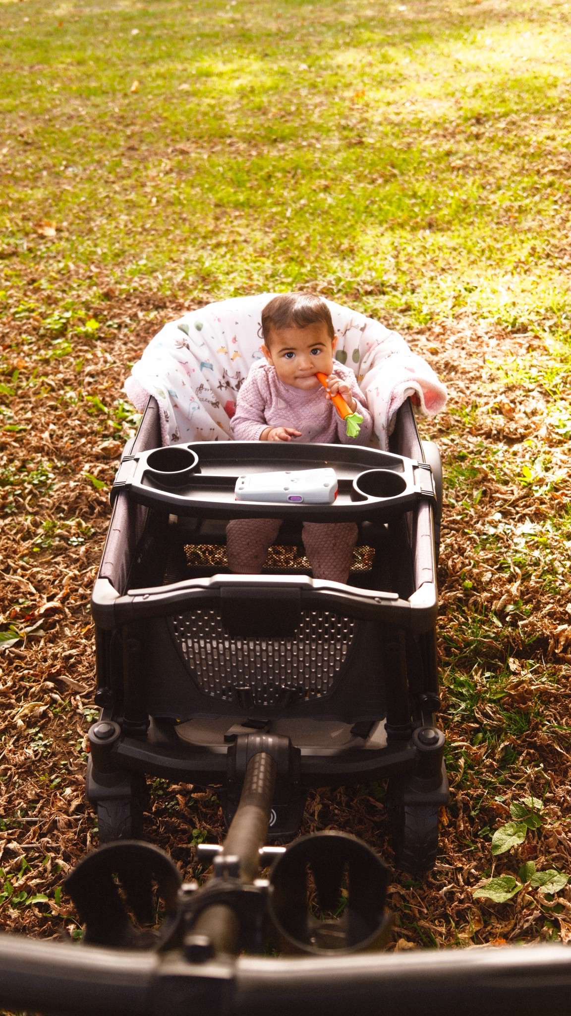 Gift Idea for Kids + Baby: The Veer Wagon

#LTKHoliday #LTKKids #LTKGiftGuide
