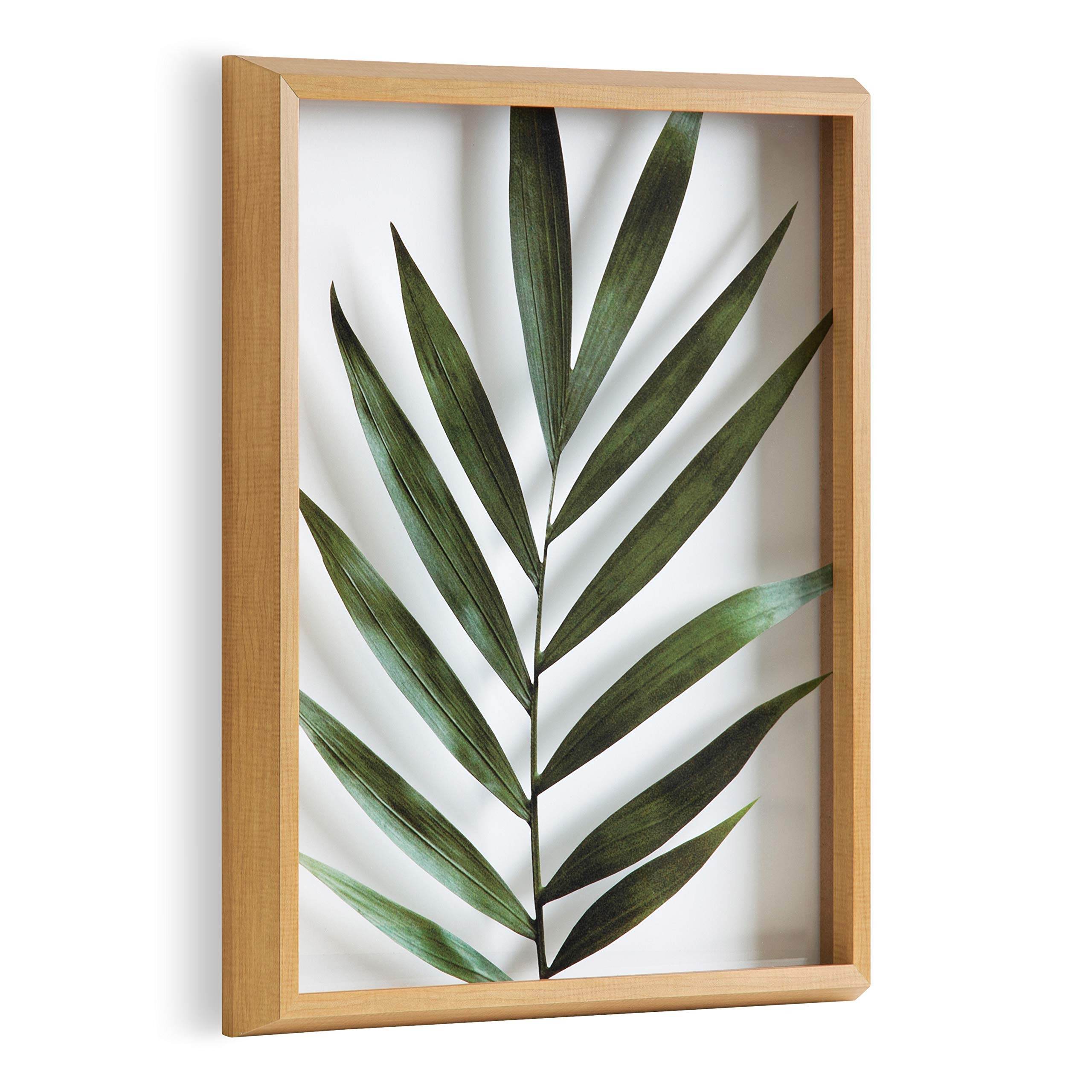 Kate and Laurel Blake Botanical Framed Printed Glass Art by Amy Peterson, 16x20 Natural, Modern W... | Amazon (US)