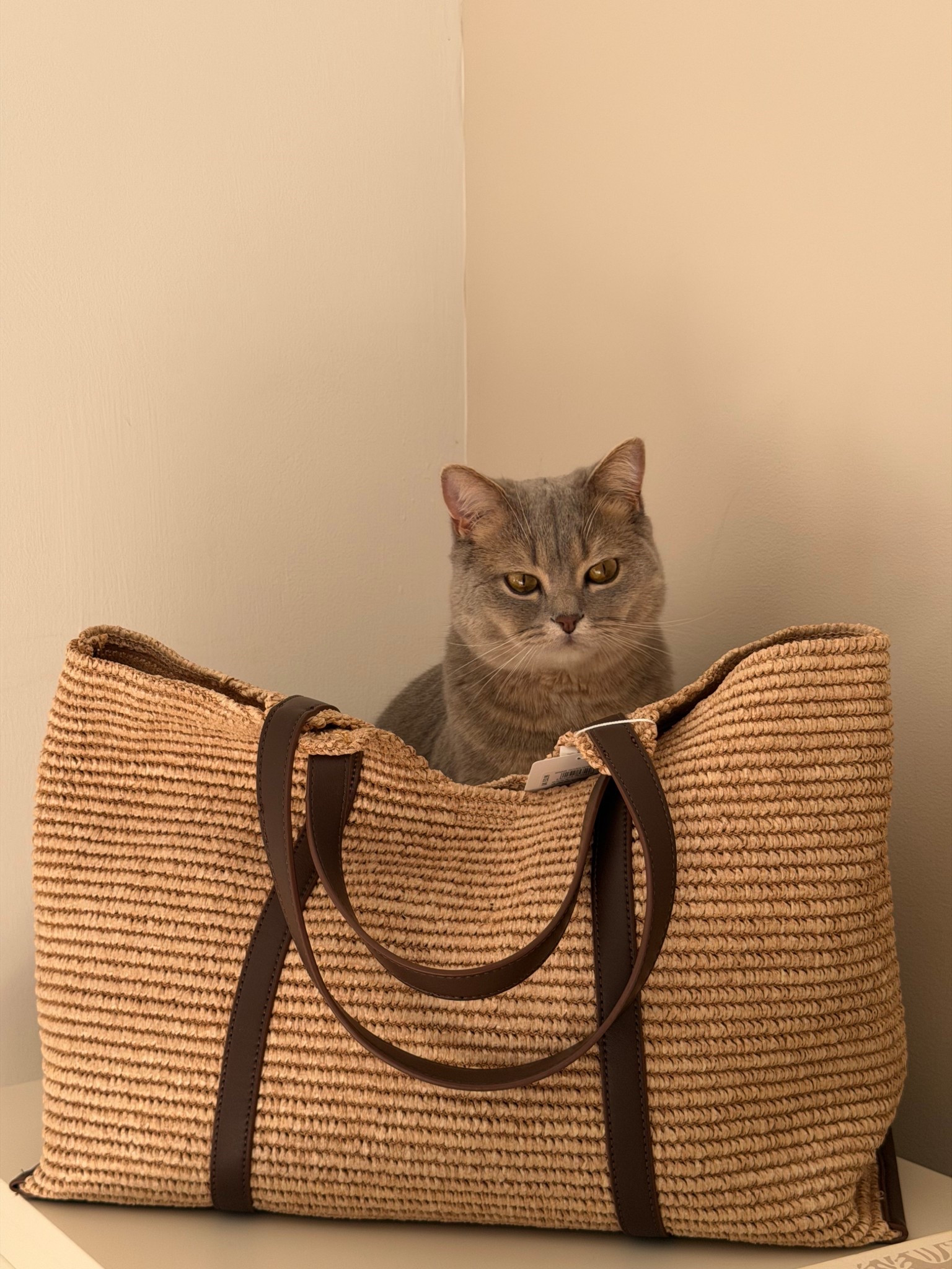 Beach bag 🤍🤎

#LTKspring #LTKsummer