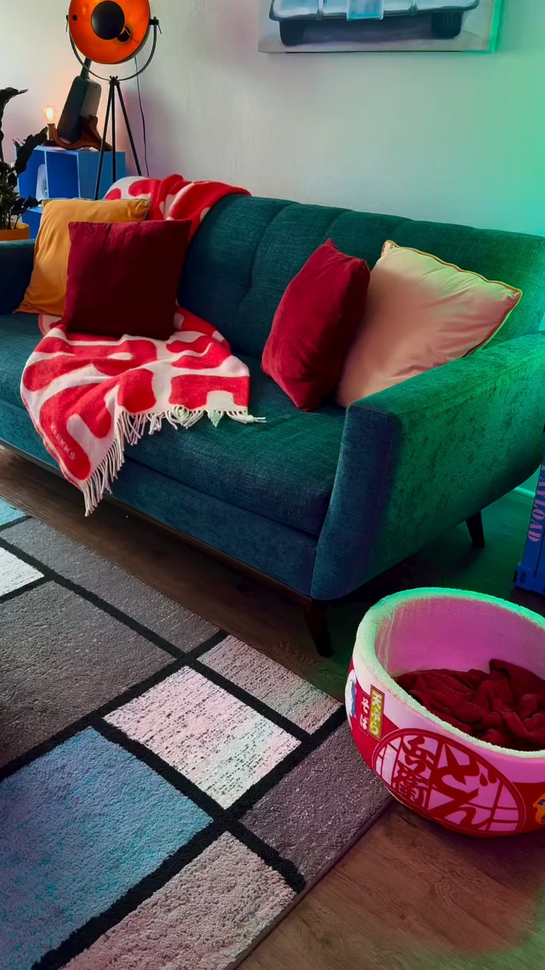 I have had this rug for years and it no longer matches my vibe. After swapping it with a rug from Lany Space and the whole vibe of the room shifted.

It’s brighter, happier… and yep, my dog instantly claimed it 😂🐾 🐶💖

#HomeGlowUp #InteriorInspo #ColorfulDecor #PetApproved #RoomMakeover #dopaminedecor #LanySpace

#LTKHome