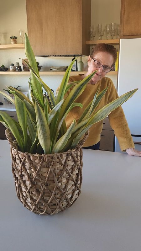 I love this plant basket from better homes and gardens, sold at Walmart!

#LTKhome #LTKfindsunder100 #LTKfindsunder50