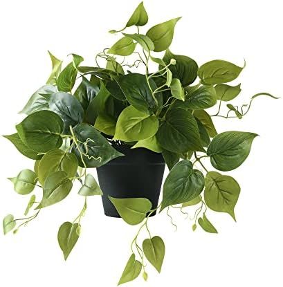 MARTHA&IVAN Fake Plants in Pot Fake Pothos Artificial Plants for Home Decor Indoor | Amazon (US)