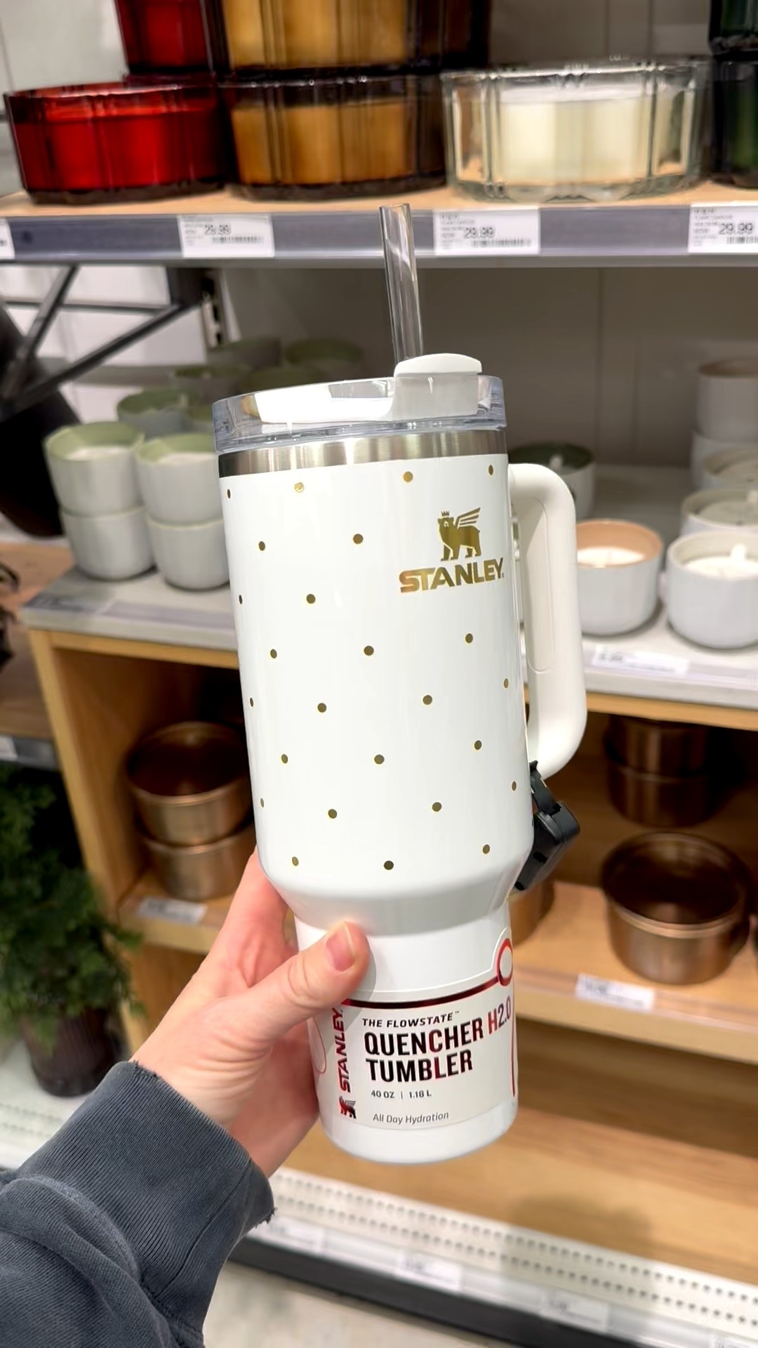 New Holiday Stanley’s have arrived for Christmas! Grab them before they’re gone! #gift #stanley #giftforher #present #teen

#LTKHoliday #LTKGiftGuide #LTKSeasonal