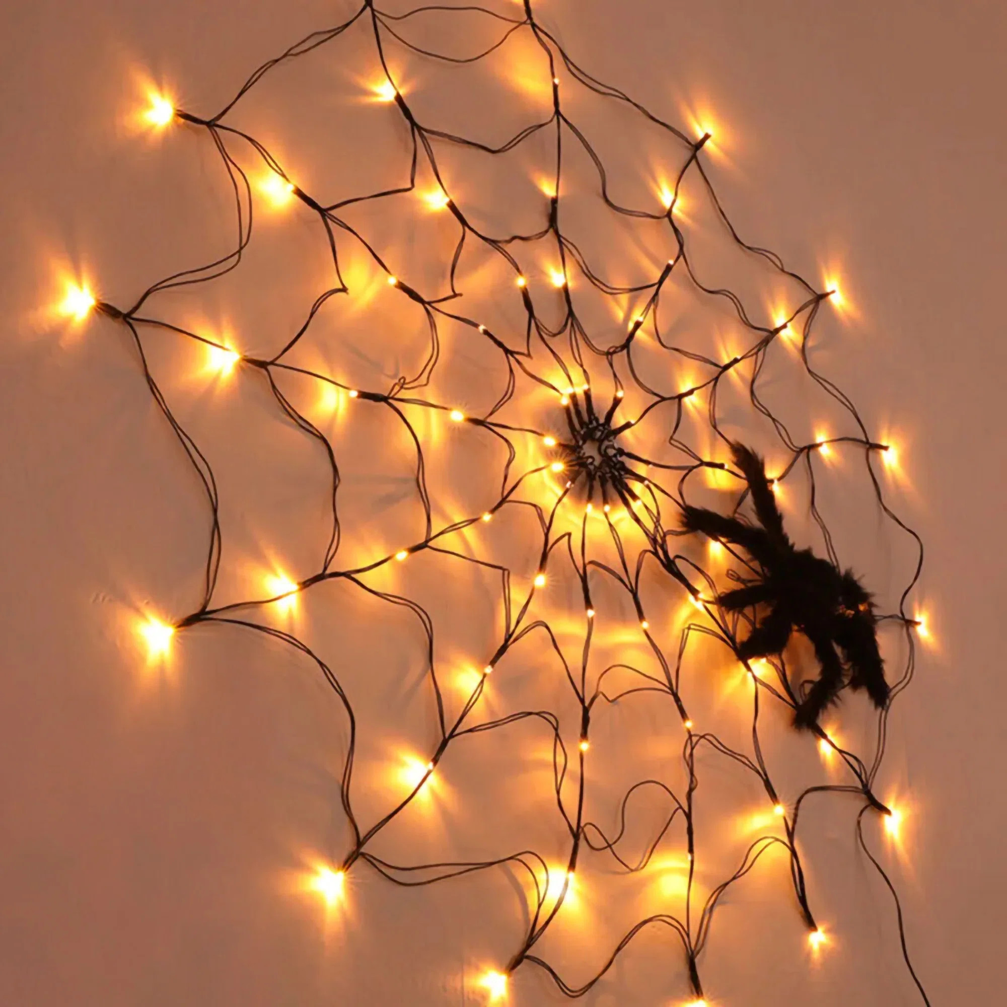 Electric Lighted Spider Web And Spider | Wayfair North America