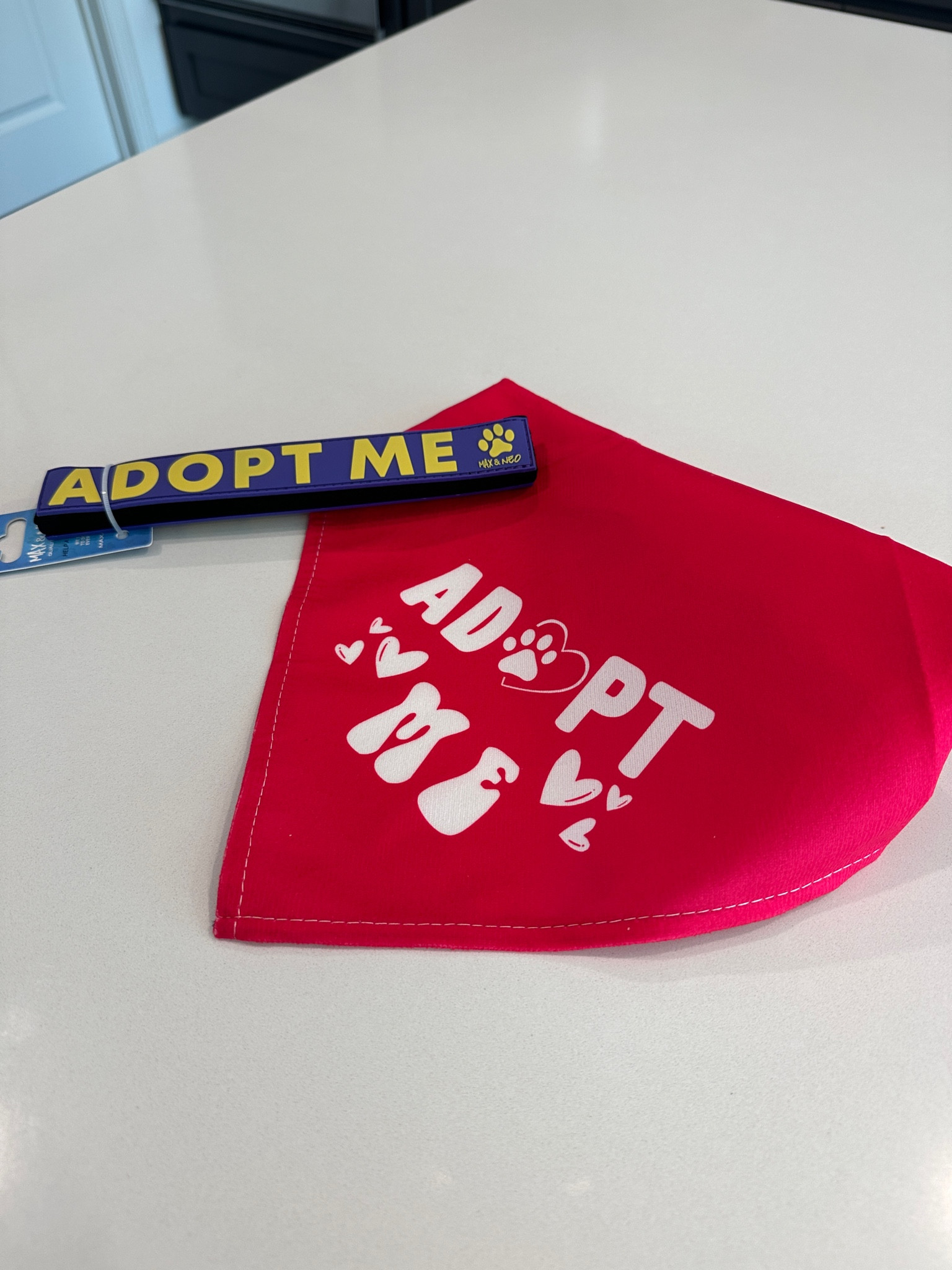 Foster puppy adoption attire - cute adopt me bandana and leash sleeve! 

#LTKFindsUnder50 #LTKFamily #LTKHome