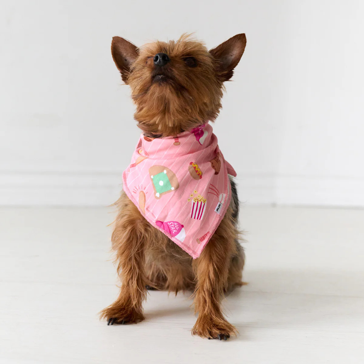 Pink All Stars Pet Bandana | Little Sleepies
