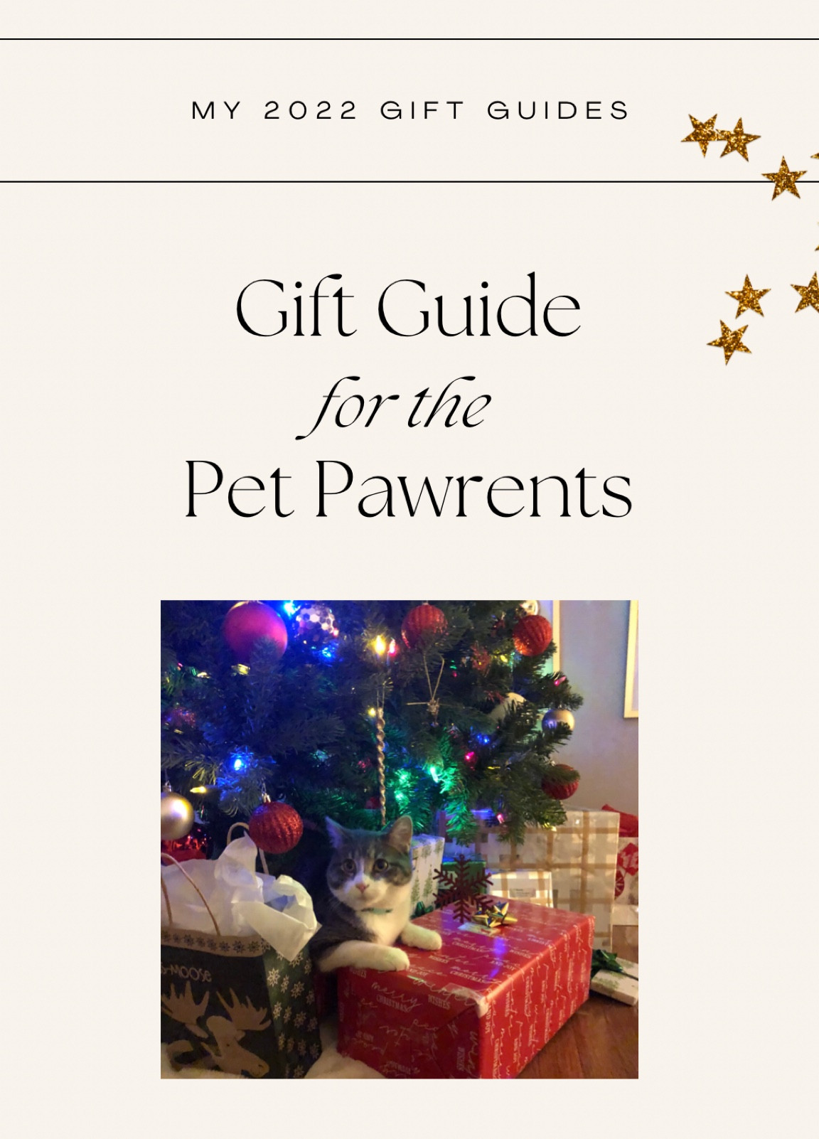 Calling all #LTKPet Parents! Check out all the best #gifts for the #animals and #pet parents in your life. My #dog personally loves the Chuckit!! As a pet parent, the robot #vacuum is perfect for getting in those small spaces and picking up #cat hair✨

#LTKHoliday #LTKGiftGuide #LTKSeasonal