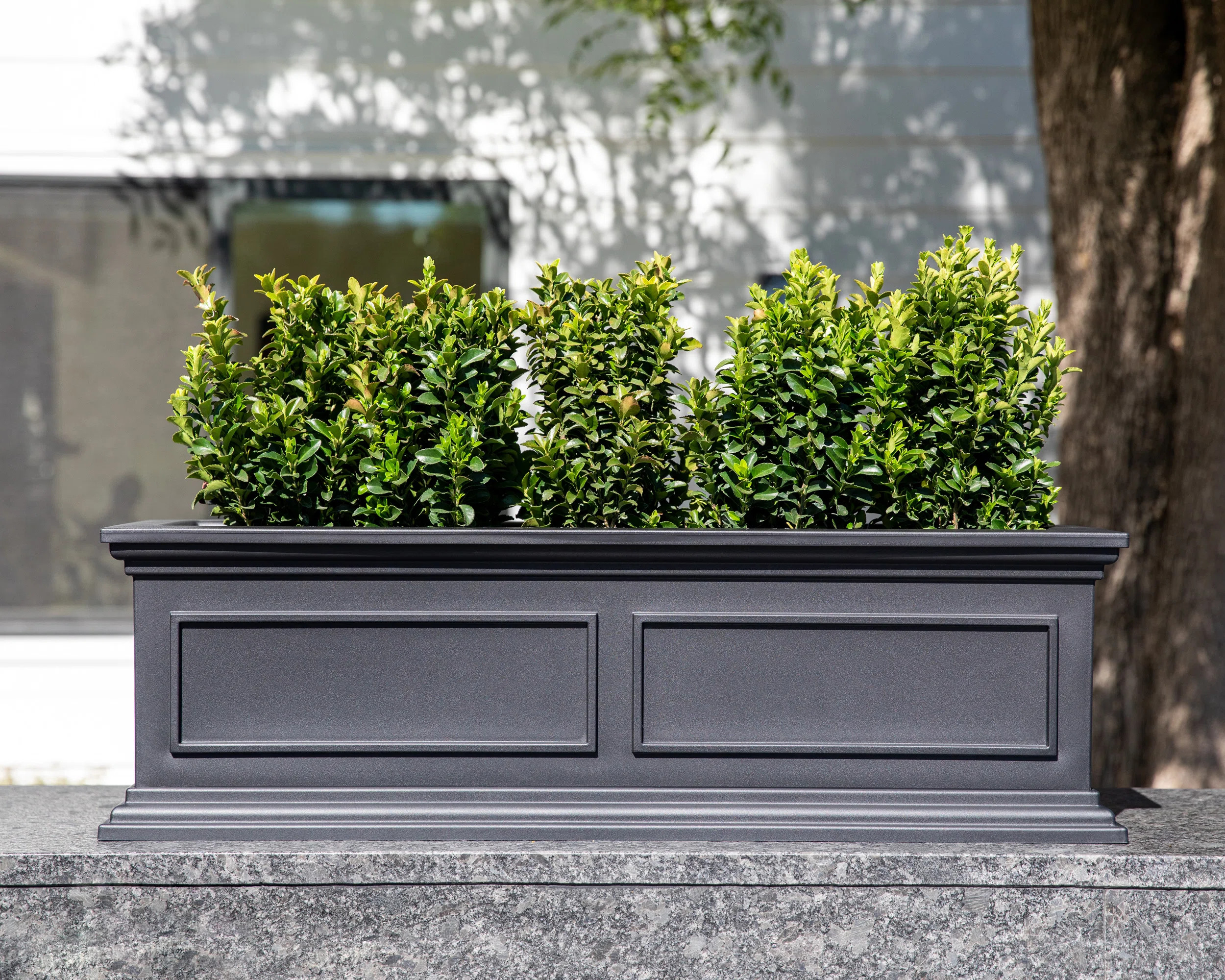 Abram Window Box Planter | Wayfair North America