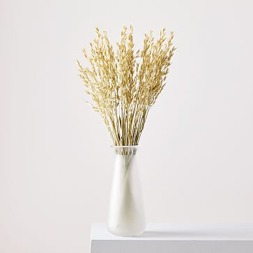 Dried Natural Avena Stems | West Elm (US)