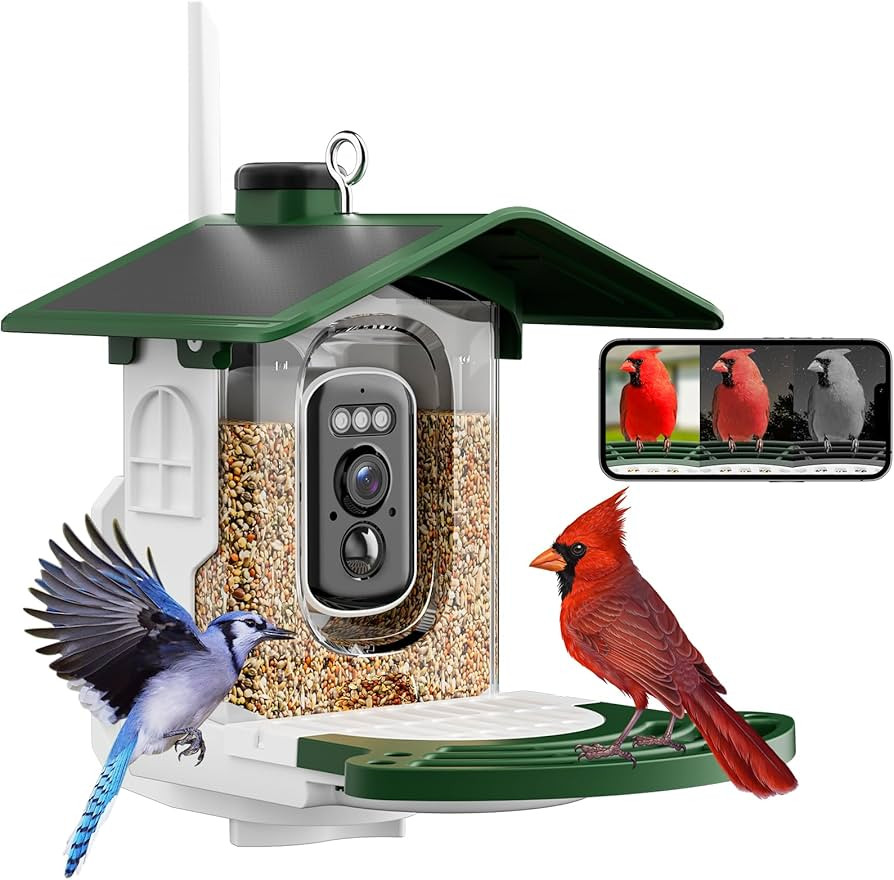 Hanging Smart Bird Feeder with Camera Solar Powered - 2K AI Identification, Dual Solar Power for ... | Amazon (US)