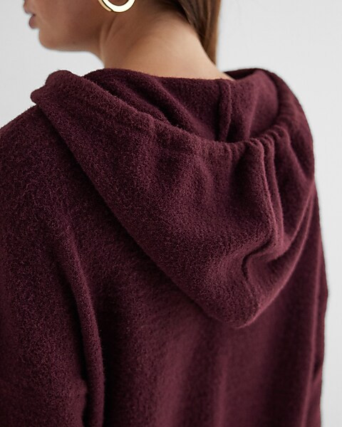 Plush Knit Hooded Sweater | Express
