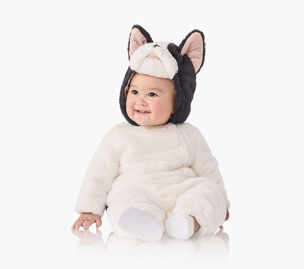 Baby Frenchie Dog Costume | Pottery Barn Kids