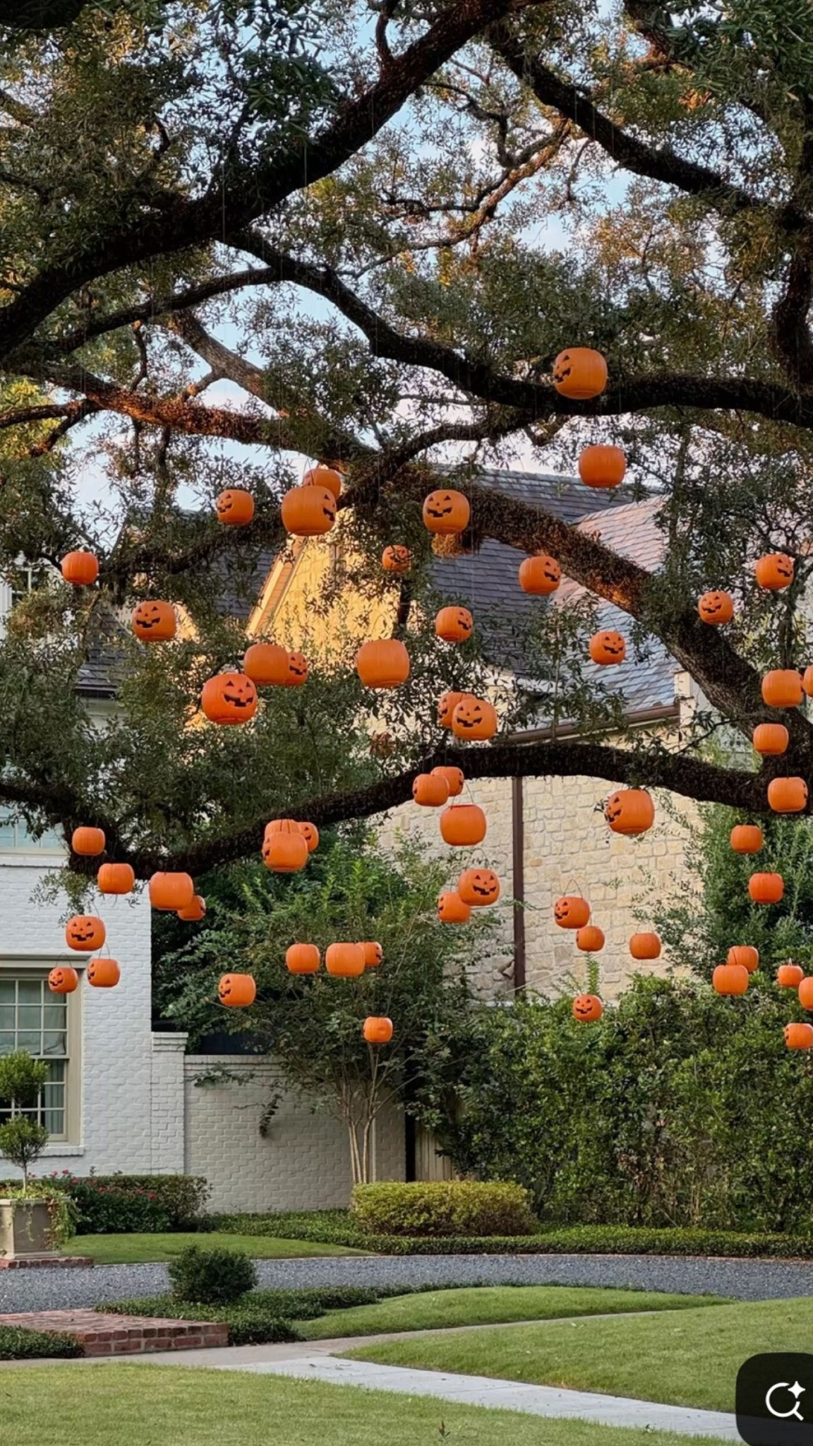 Inspiration pic from Pinterest! How fun would this be for Halloween? String up trick or treat baskets with fishing wire. 🎃