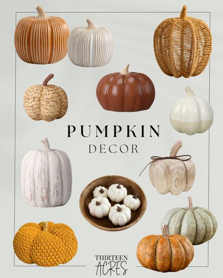 I’ve rounded up some affordable pumpkins (all under $35) to use as you decorate for fall! 🎃

#LTKSeasonal #LTKhome #LTKHalloween