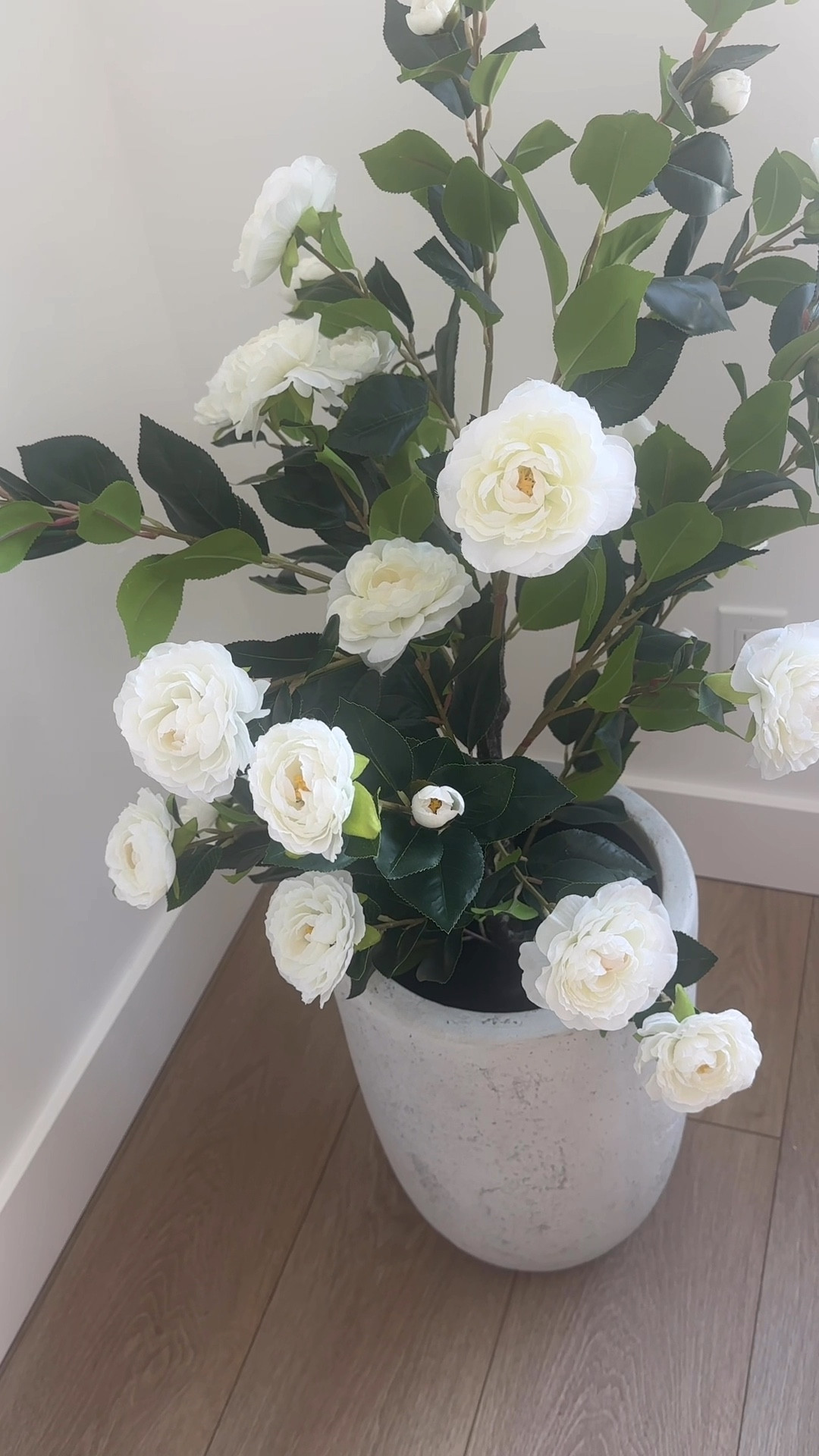 Beautiful realistic plant but it’s faux. Porch decor

#LTKFindsUnder100 #LTKHome #LTKWatchNow