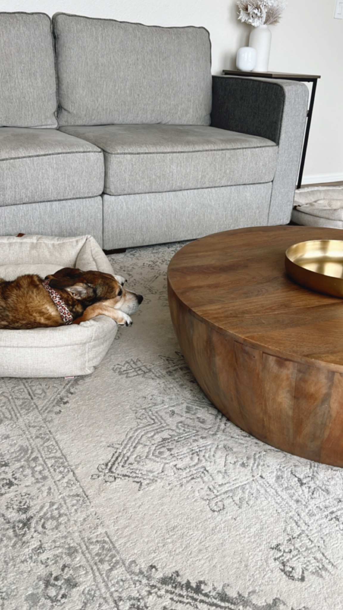 Living room home decor 🤍

Wooden drum coffee table
Beige dog bed
Gray and white oriental rug
Lovesac couch


#competition

#LTKGiftGuide #LTKFind #LTKhome