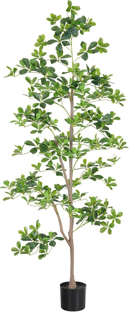 6ft Artificial Black Olive Tree, Faux Plants Indoor, Fake Black Olive Tree for Home Decor, Large ... | Amazon (US)