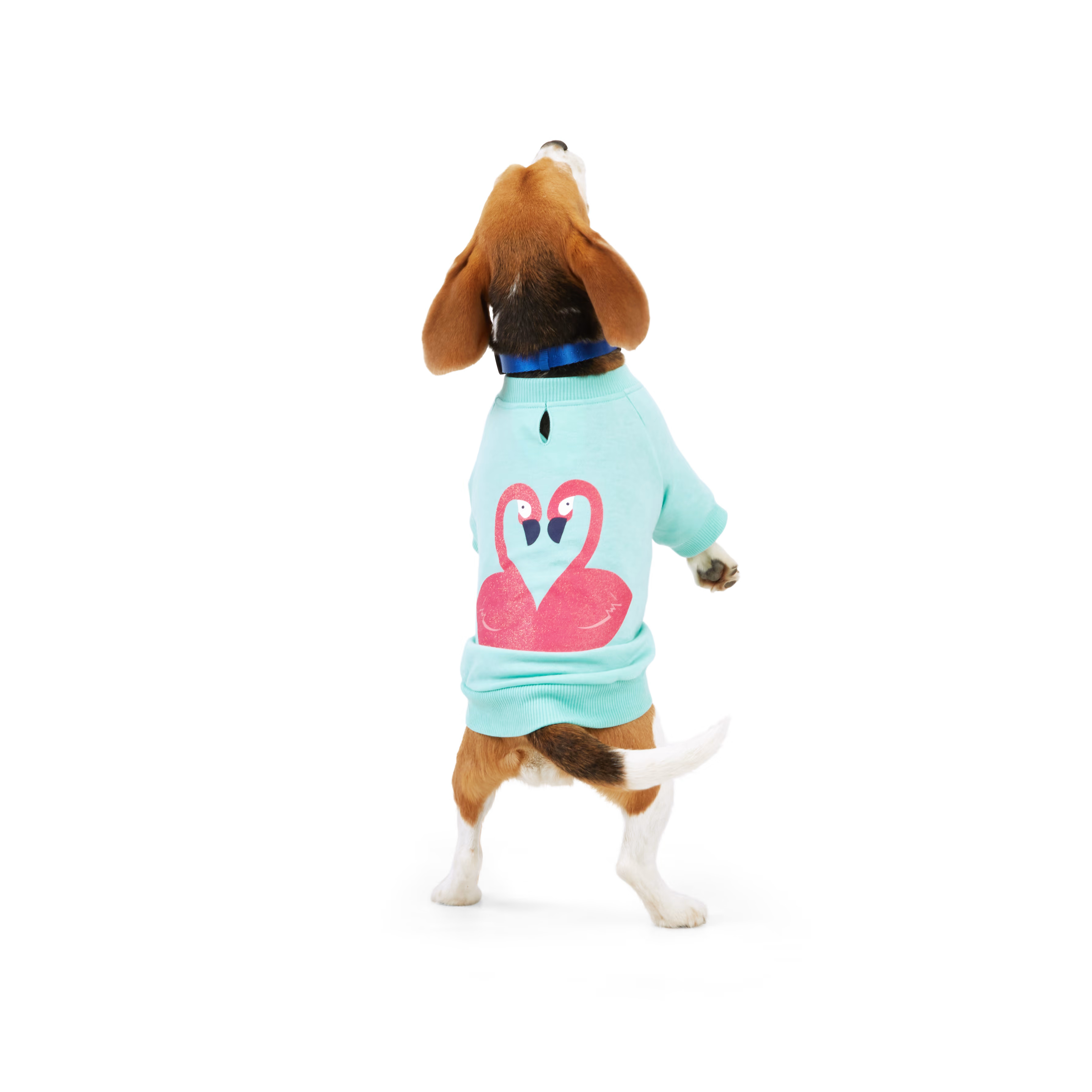 YOULY Flamingo Crew Dog Sweatshirt, XX-Small | Petco