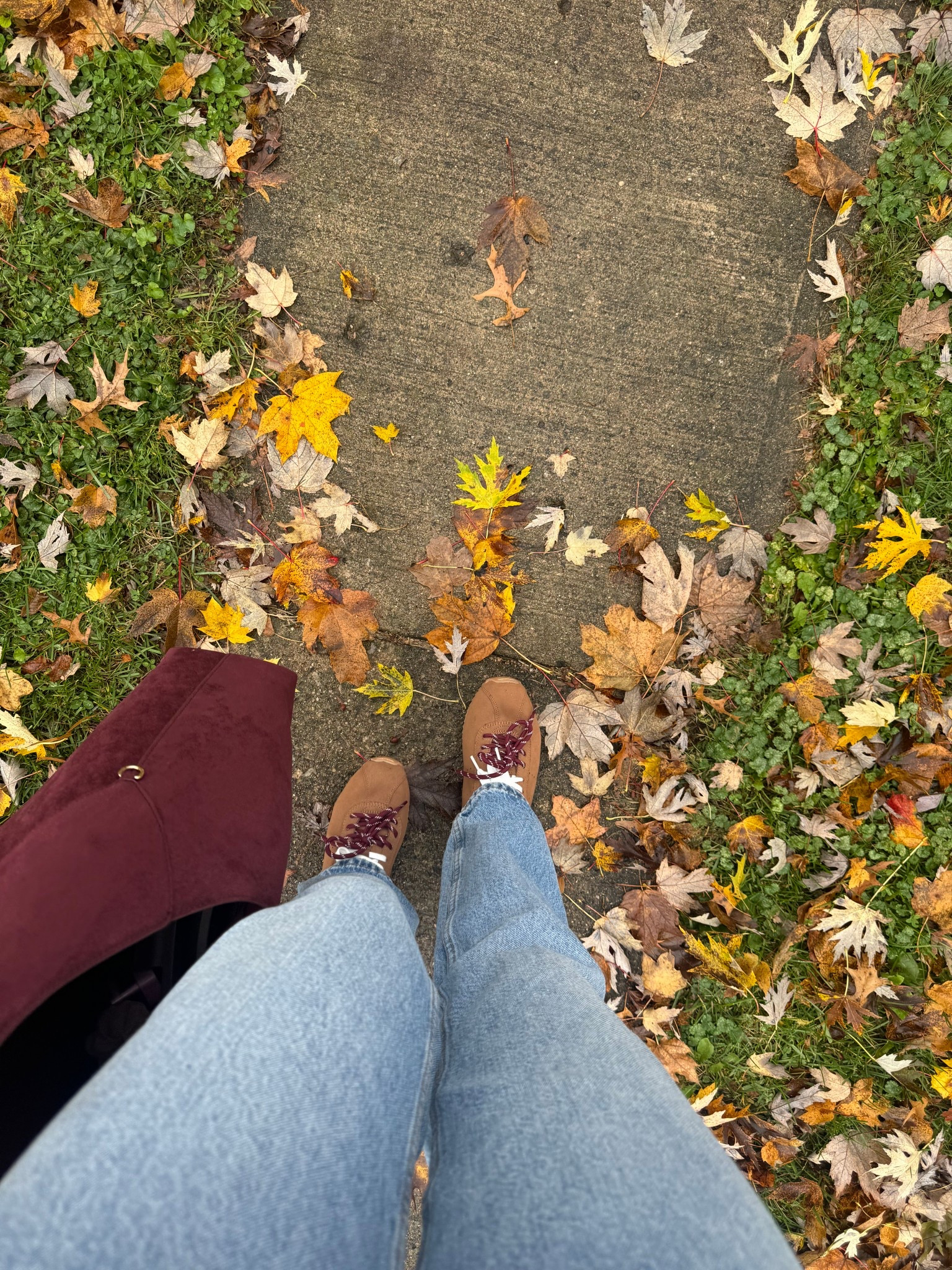 #LTKItBag #LTKShoeCrush

#LTKFindsUnder50 #LTKootd