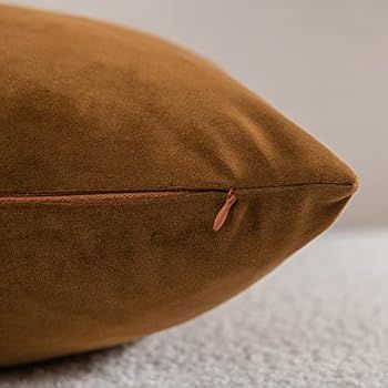 DEZENE Throw Pillow Cases 18x18 Golden Brown: 2 Pack Cozy Soft Velvet Square Decorative Pillow Co... | Amazon (US)