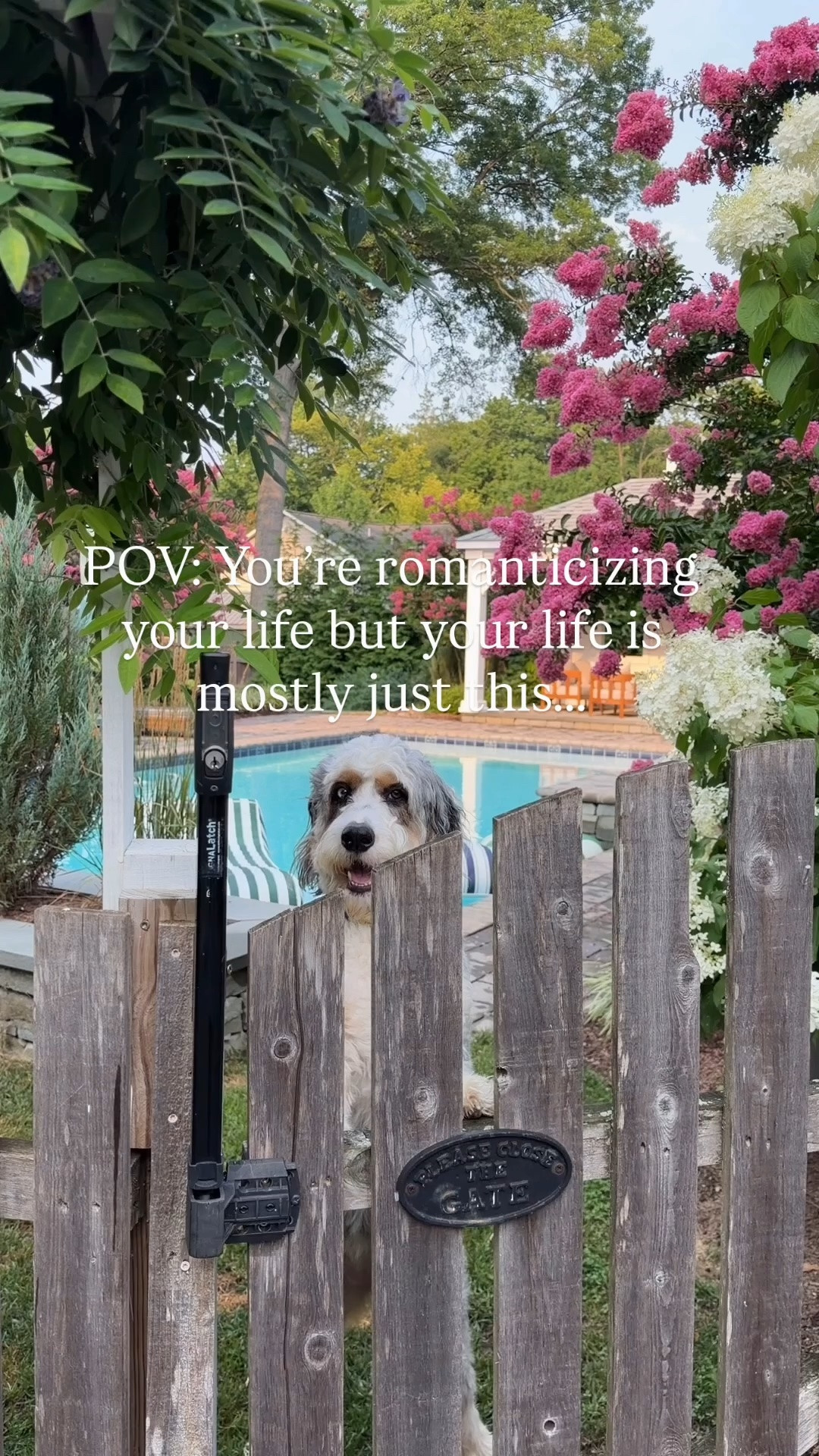 I’ve spent a lot of time thinking about what it actually means to “romanticize your life.”

And I’ve realized it doesn’t always mean fresh flowers, perfectly set tables, or a backyard that looks like a resort.

Sometimes it’s your dog waiting for you at the gate.

It’s eating dinner outside without actually setting the table.

Wearing the dress even though you’re just running errands.

Sitting by the pool for 20 minutes before someone needs you (or it starts to rain). 

Noticing the pretty light.

Maybe romanticizing your life isn’t about making your life *look* beautiful…

Maybe it’s about noticing that it already is 🩷

P.S. And if you’re wondering about the pool floats… obviously I linked them. 😂 Everything is also always in my @coreli.ai (link in bio)!

#LTKdayinmylife #LTKHome #LTKSeasonal
