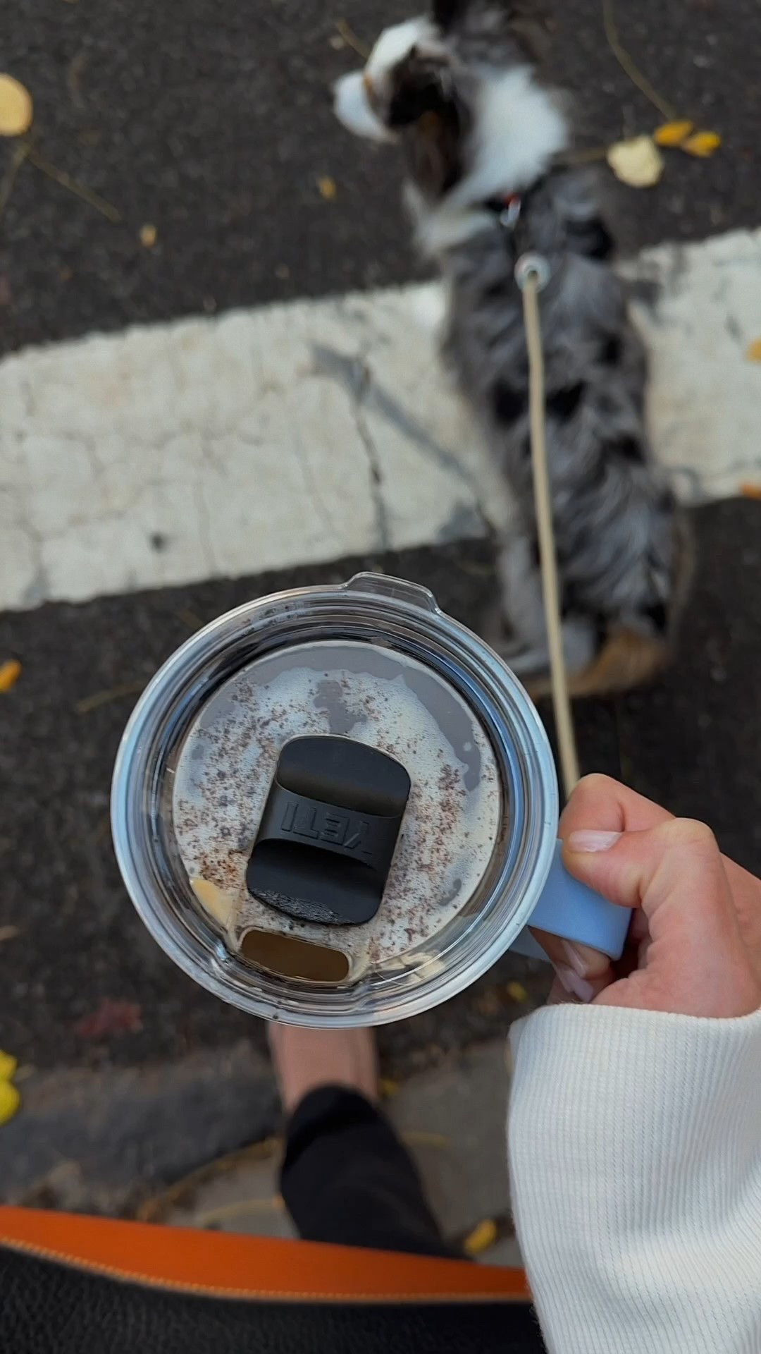 BEST TRAVEL COFEE MUG

I will always be a Yeti gal over Stanley: easier to carry and easier to drink from/travel with.

Love this coffee mug that keeps your coffee piping hot for a full dog walk.

#LTKHome #LTKdayinmylife #LTKFindsUnder50