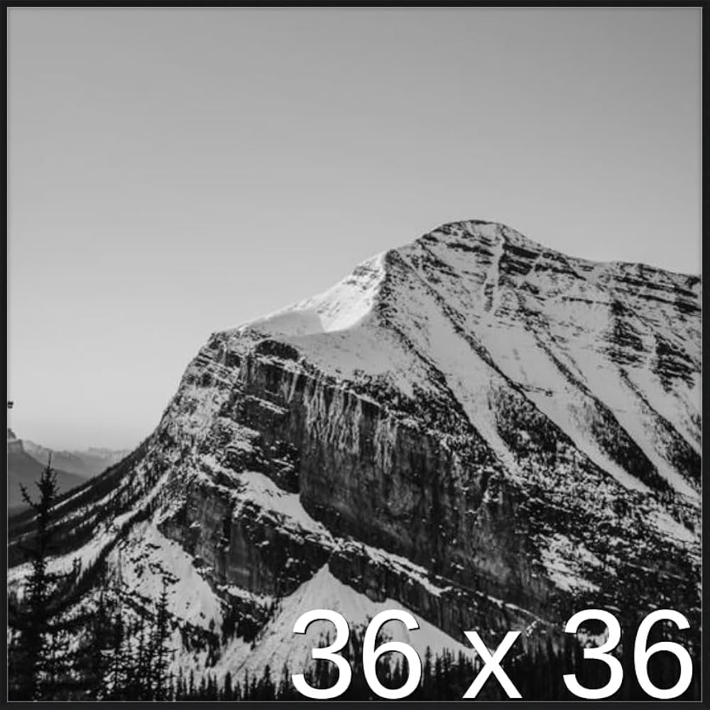 Frame It Easy 36 x 36 Satin Black Metal Frame (Ashford) | Amazon (US)