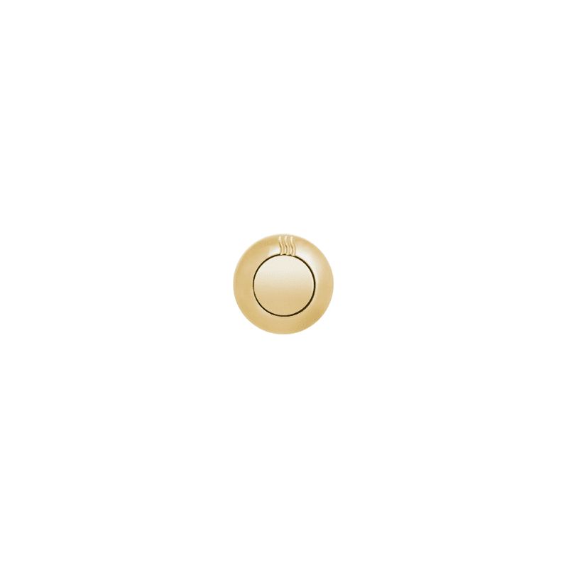 ThermaSol NTSC Contemporary Retractable Aromatherapy Steam Head Polished Gold Steam Showers Steam He | Build.com, Inc.