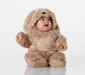 Baby Labradoodle Dog Halloween Costume | Pottery Barn Kids