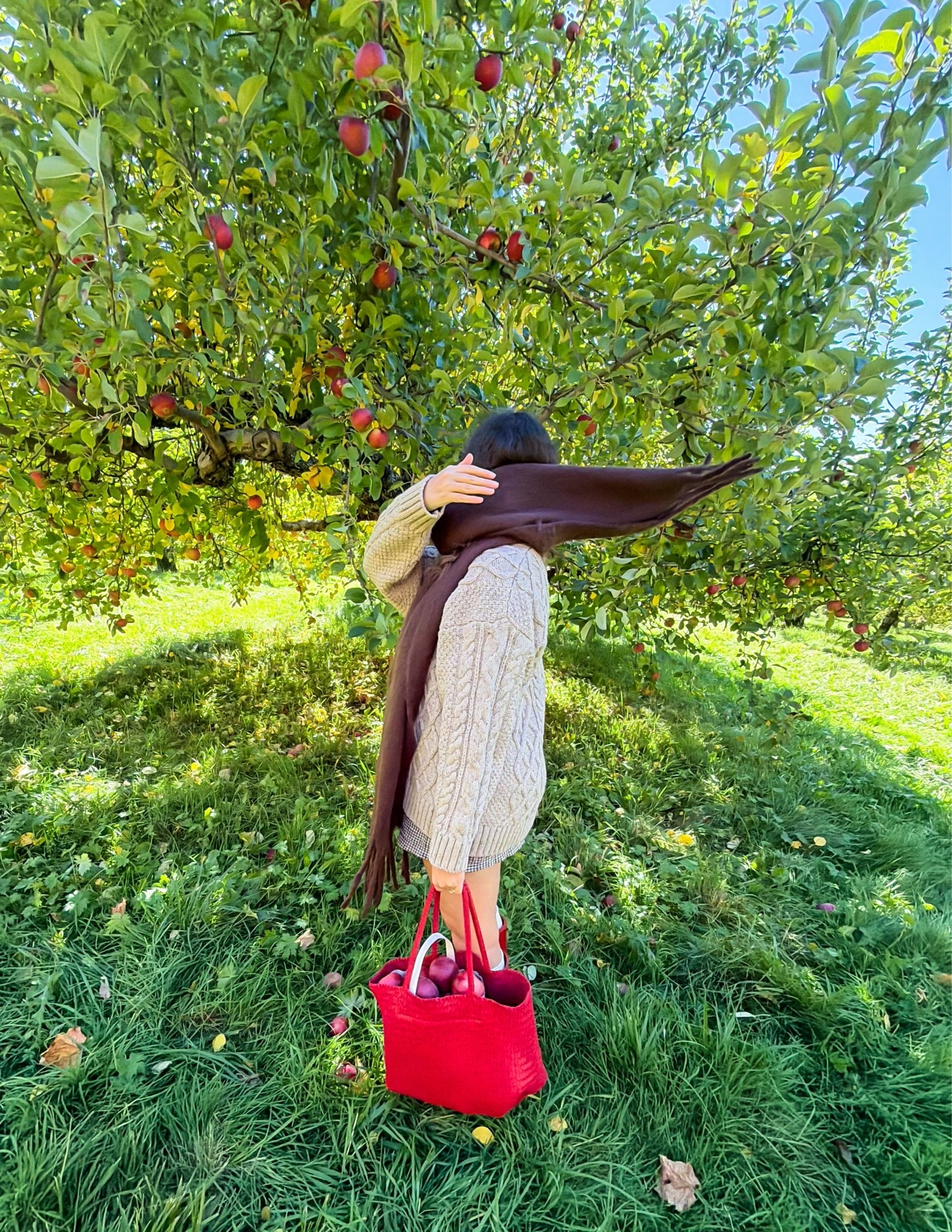 Apple picking outfit

Fall outfits, autumn outfits, fall decor, Transitional outfits, Early fall fashion, Nordstrom new arrivals, Amazon fall finds, Teacher outfits, Back-to-school outfits, Football game outfit, Tailgate outfit, Labor Day outfits, Sweater weather, Cardigans, Barrel jeans, Wide-leg jeans, Riding boots, Loafers, Ballet flats, Coffee bar decor, Fall home decor, Halloween decor, Mom fall outfits, Casual mom style, Mom capsule wardrobe, Fall family photo outfits, Classic style, Ralph Lauren style, Old money style, New England fall, Cozy fall aesthetic, Amazon favorites, Worth the money, Neutral home decor, Book lover gifts, Coffee bar ideas, Early fall decor, Fall dresses, Fall layers, Denim jackets, Quilted jackets, Leather loafers, Chelsea boots, Matching family outfits, Apple orchard outfit, Pumpkin patch outfit, Cozy sweaters, Fall handbags