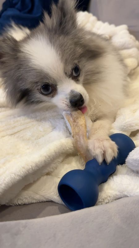 Dog Find: the best bone safety device for your fur babies so they don’t choke on small pieces. This is an xs size but I am going to get a small too. Come in XS to 2XL. I give my dogs bully sticks, no rawhide. Linked here 

#LTKfamily #LTKfindsunder50