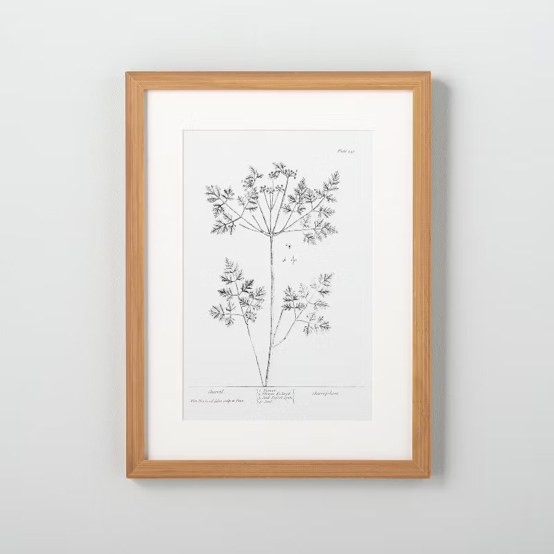 12" x 16" Floral Chervil Wall Art - Hearth & Hand™ with Magnolia | Target