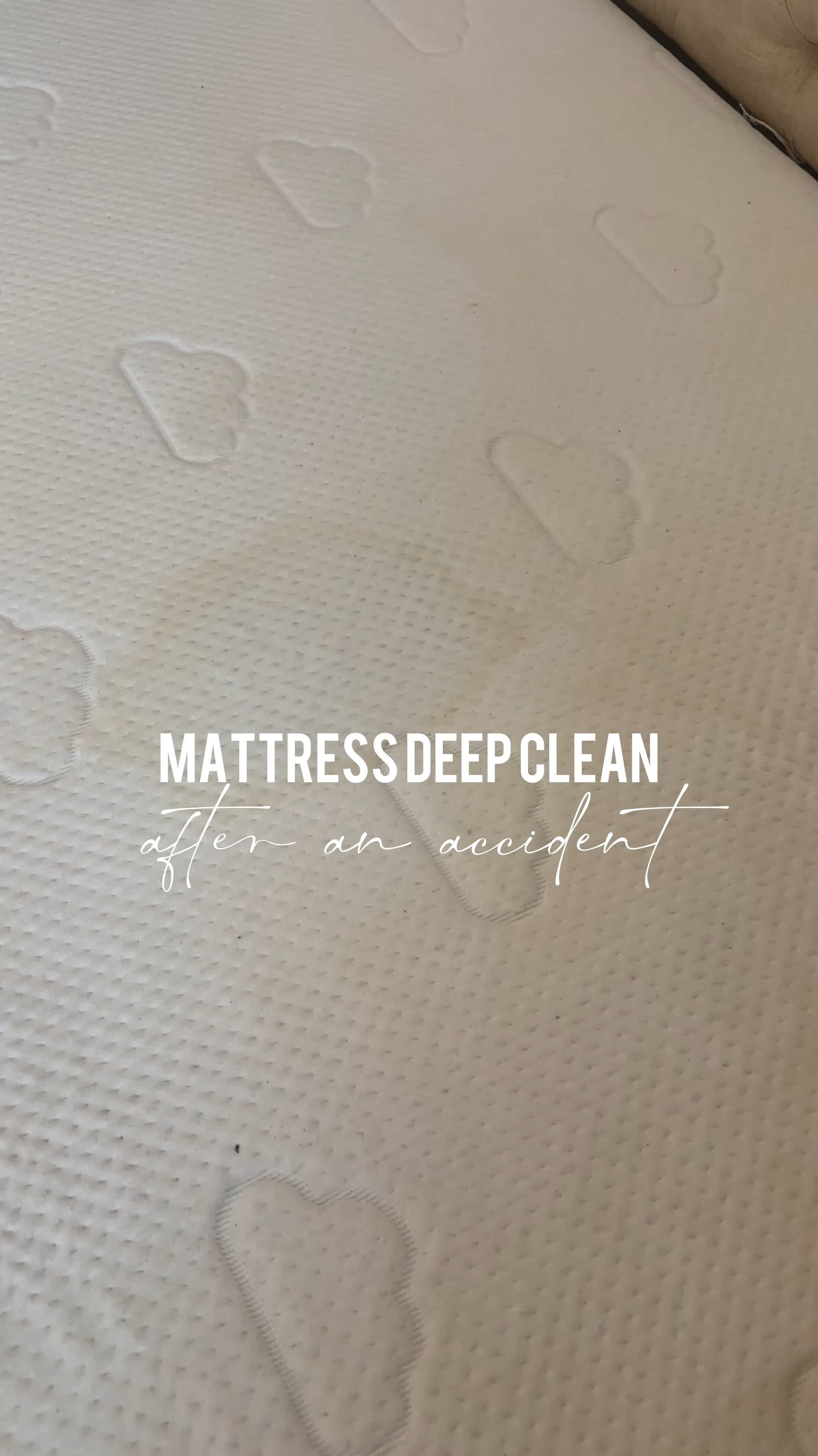 Mattress deep clean #cleaning 

#LTKHome