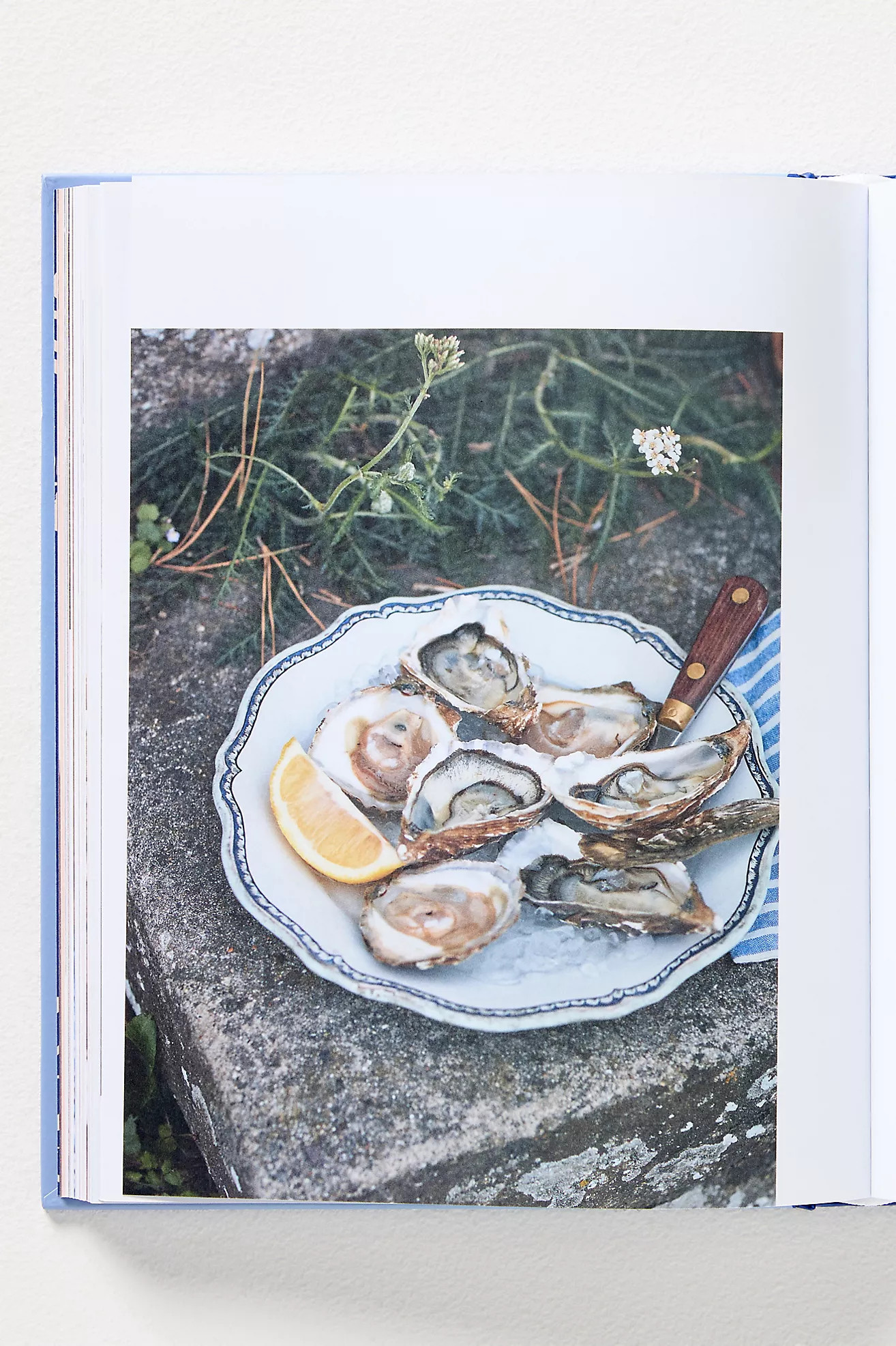 Chez Manon: Simple Recipes from a French Home Kitchen | Anthropologie (US)