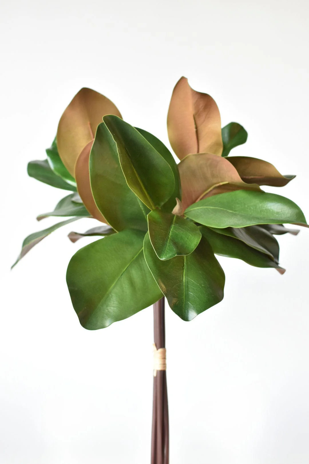 18" Faux Magnolia Leaf Bundle | HouseFloral