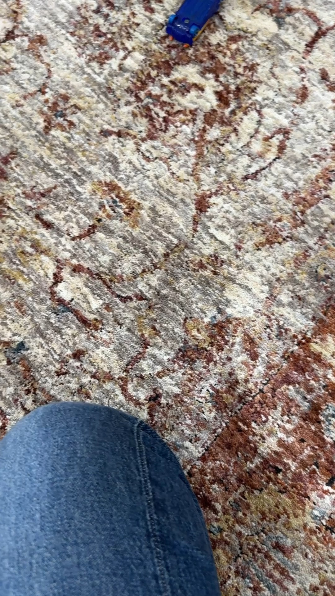 Sometimes you get the best clearance deal…$37 for this rug in a 4x6 size!! Check your local Lowe’s for clearance options or click on these links for some pretty fall rugs.🤎🧡

#LTKHome #LTKSeasonal #LTKFallSale