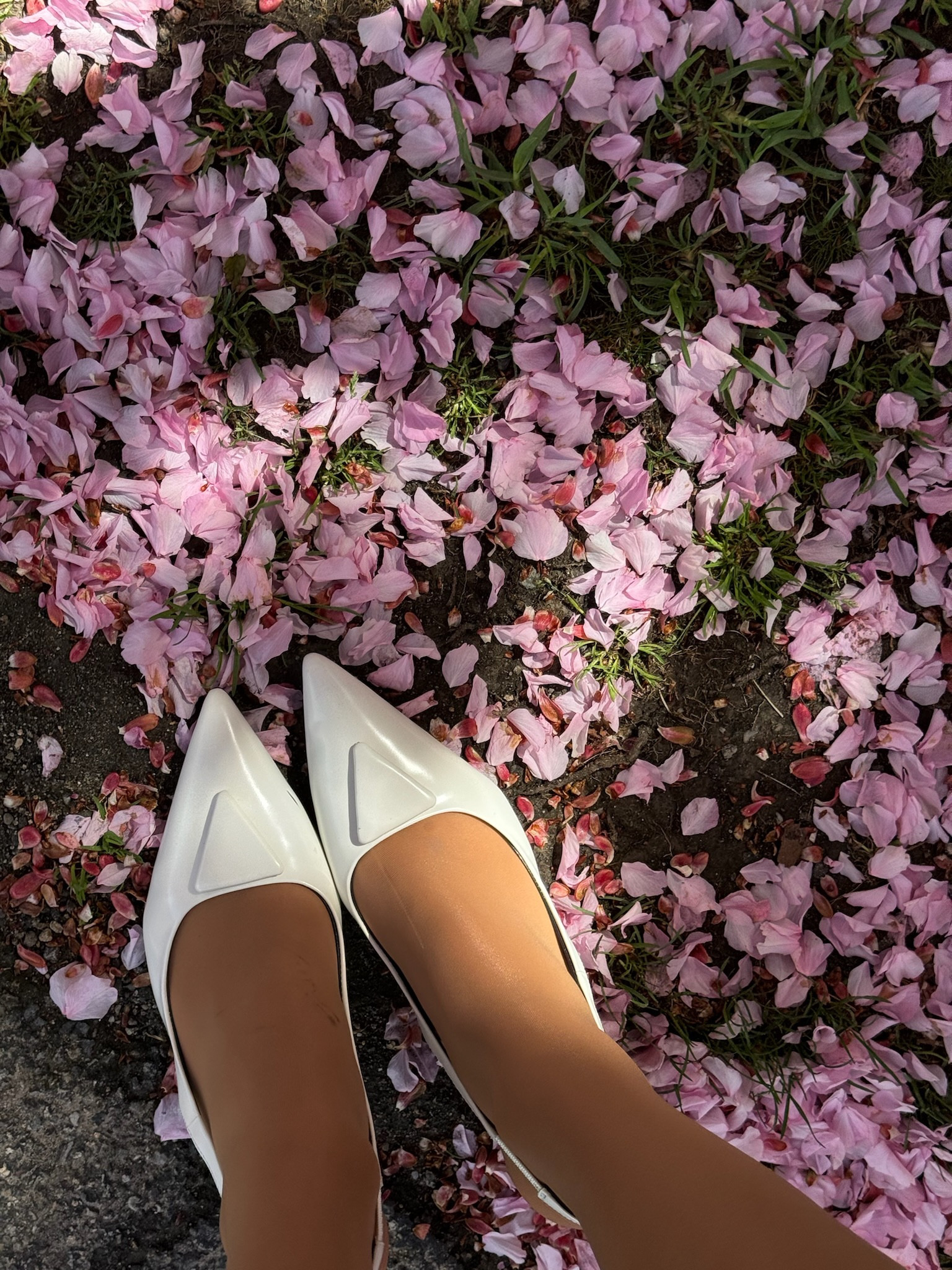 The most perfect white heels 🤍

White heels - trendy fashion - chic style - white pumps - women’s shoes - women’s heels 

#LTKStyleTip #LTKOver40 #LTKSeasonal