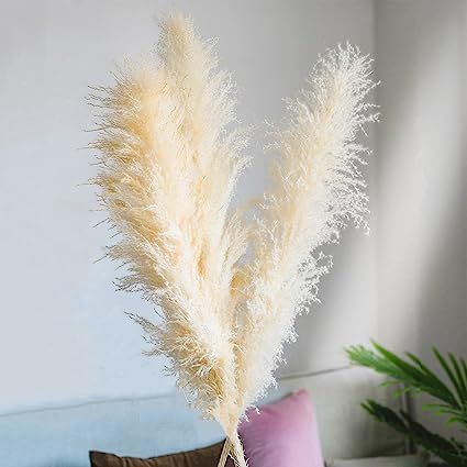 Qualeaf Large Natural Dried Pampas Grass - Extra Fluffy 48" Tall Beige Stems - Rustic Home and Of... | Amazon (US)