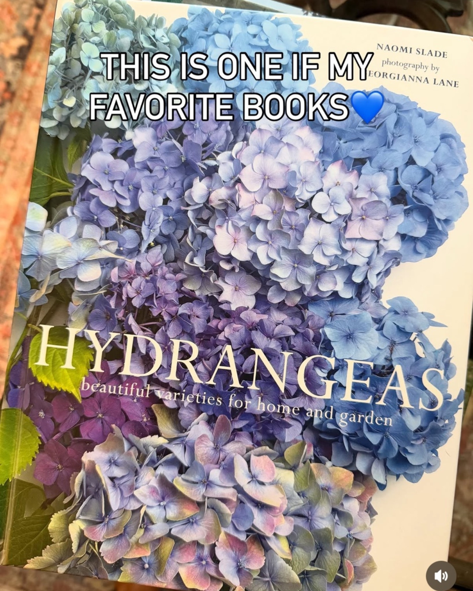 My favorite book about hydrangeas

#LTKdayinmylife #LTKOver40 #LTKSeasonal