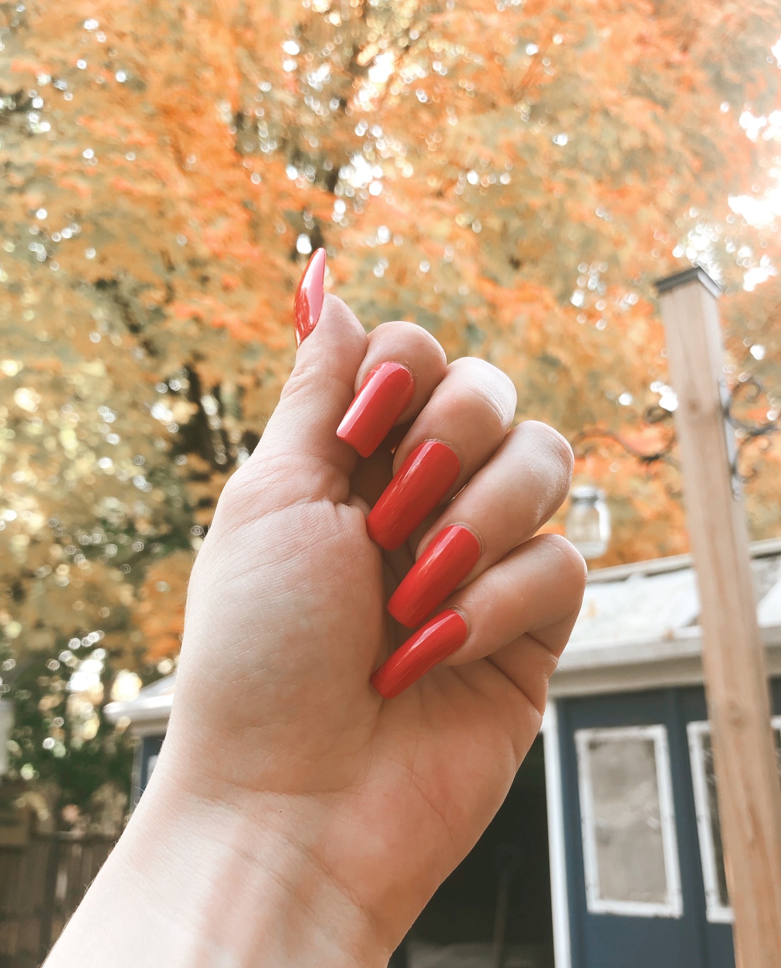 Red nails for fall 🍁🍂

My favourite set of press-on nails from Kiss. I love the square shape! 

#LTKunder50 #LTKSeasonal #LTKbeauty