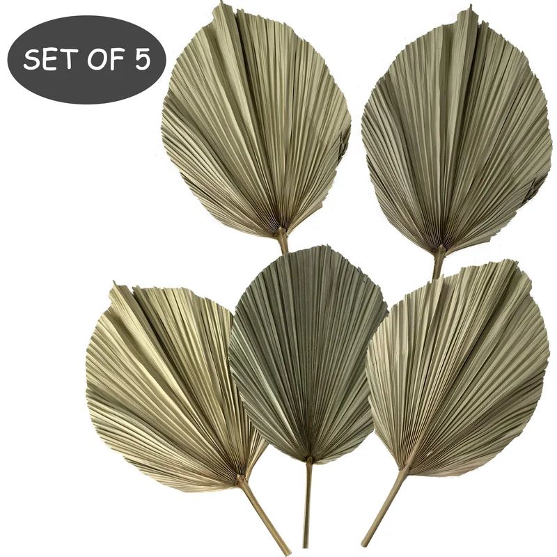 5 Large Palm Leaves Dried, Tropical Palm Leaves Decoration | Wayfair North America